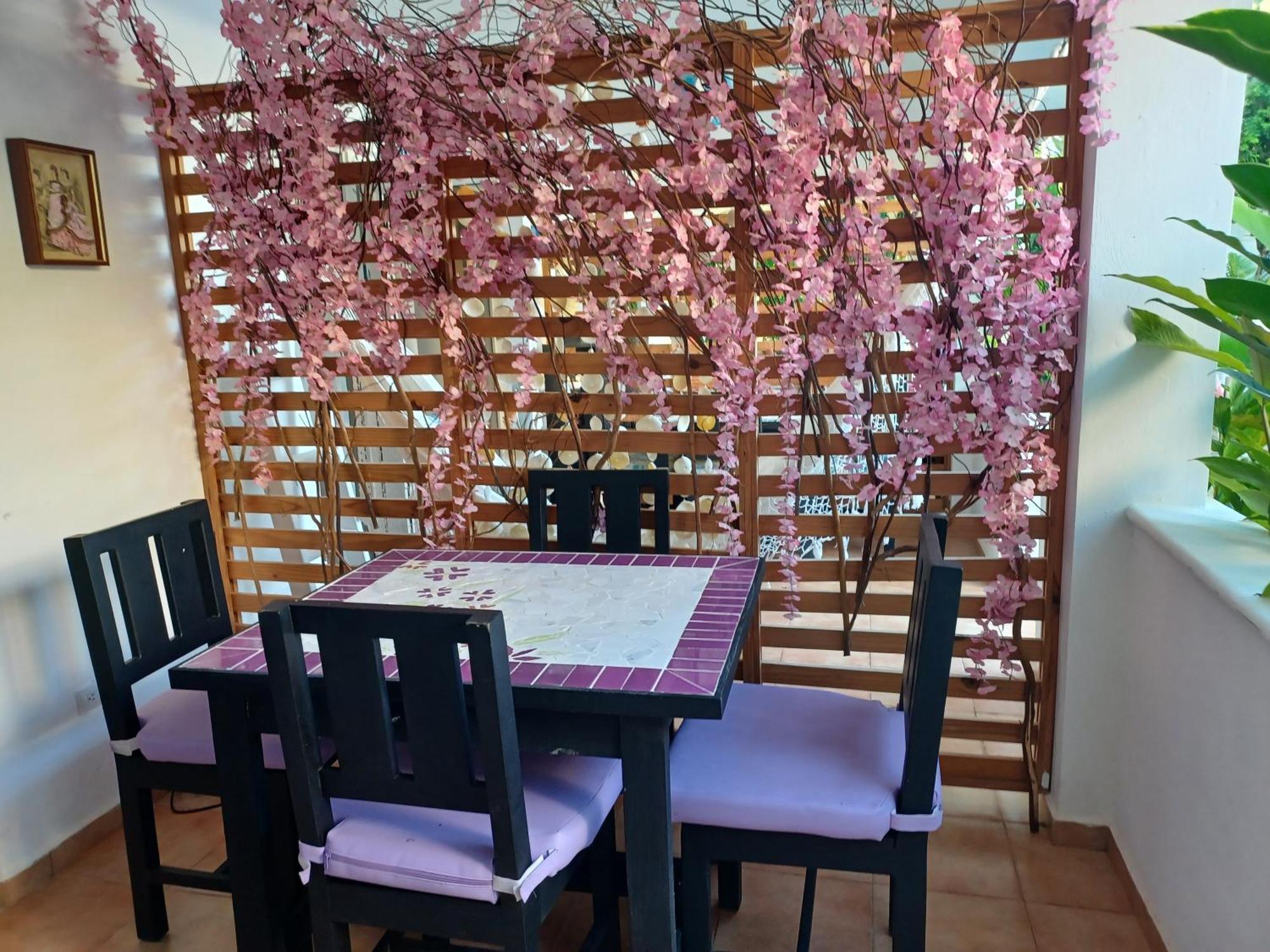 Dona Mayra Aparta Hotel Las Terrenas Rom bilde